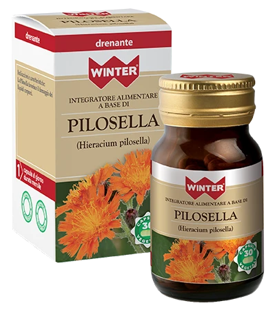 Winter Pilosella – 30 capsule vegetali Winter Pilosella – 30 Capsule Vegetali -Farmacia Estetica Porta Pia WINTER Pilosella 30 capsule vegetali
