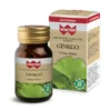 Winter Ginkgo – 30 Capsule Vegetali -Farmacia Estetica Porta Pia Winter Ginkgo 30 capsule vegetali